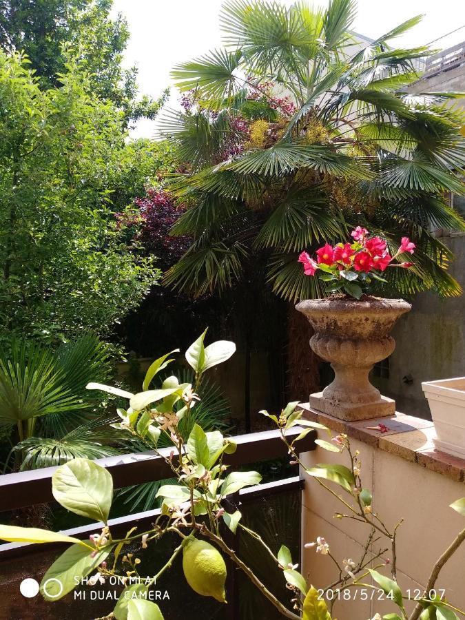 Appartement Charmant A Alfortville 30M² Terrasse Et Jardin Exterior photo